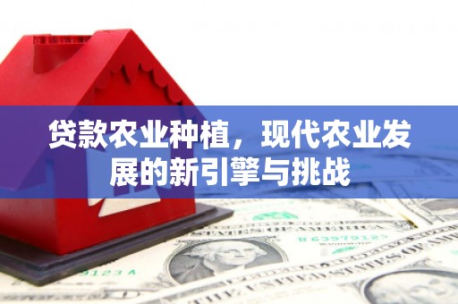 隆尧贷款农业种植，现代农业发展的新引擎与挑战