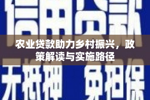 隆尧农业贷款助力乡村振兴，政策解读与实施路径