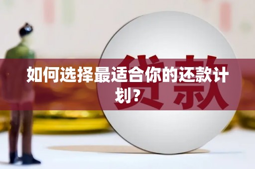 隆尧如何选择最适合你的还款计划？