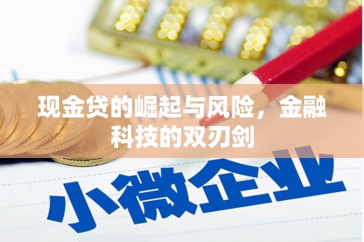 隆尧现金贷的崛起与风险，金融科技的双刃剑