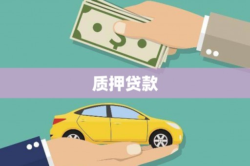 隆尧质押贷款