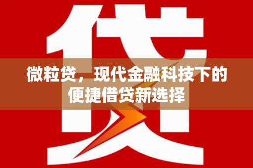 隆尧微粒贷，现代金融科技下的便捷借贷新选择