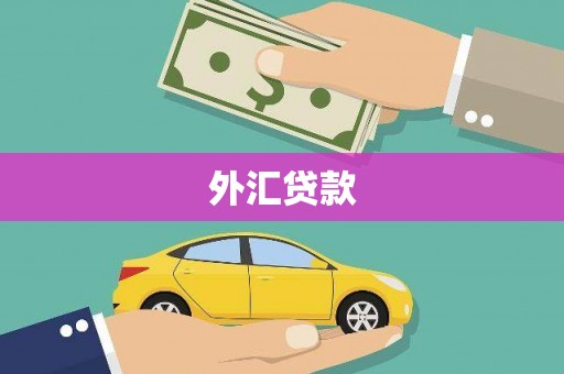 隆尧外汇贷款