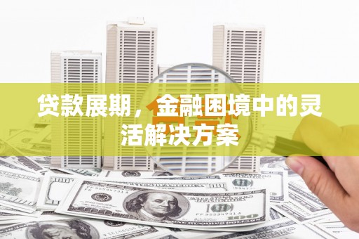 隆尧贷款展期，金融困境中的灵活解决方案
