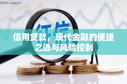 隆尧信用贷款，现代金融的便捷之选与风险控制