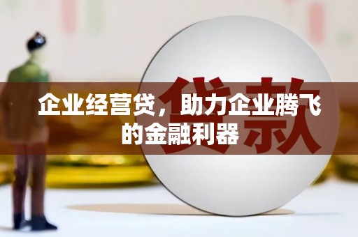 隆尧企业经营贷，助力企业腾飞的金融利器