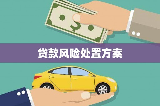 隆尧贷款风险处置方案