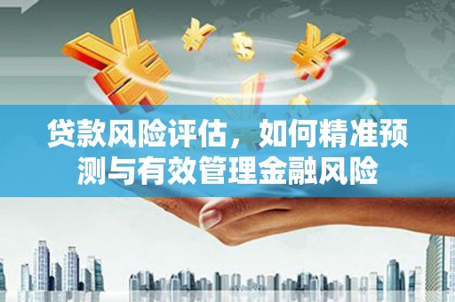 隆尧贷款风险评估，如何精准预测与有效管理金融风险