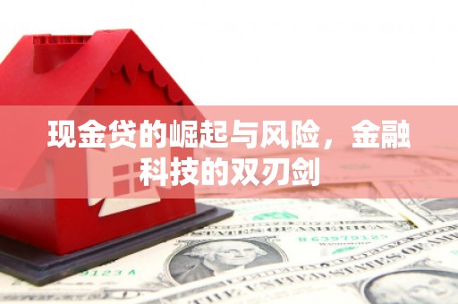 隆尧现金贷的崛起与风险，金融科技的双刃剑