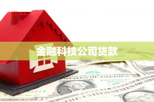 隆尧金融科技公司贷款