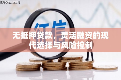 隆尧无抵押贷款，灵活融资的现代选择与风险控制