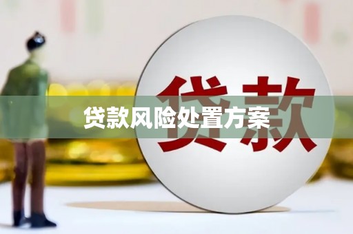 隆尧贷款风险处置方案