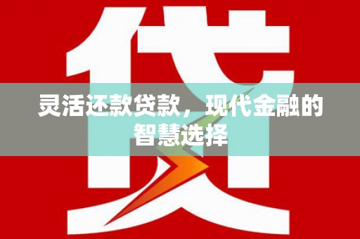 隆尧灵活还款贷款，现代金融的智慧选择