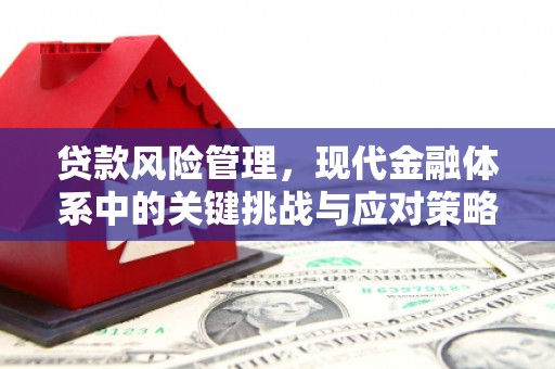 隆尧贷款风险管理，现代金融体系中的关键挑战与应对策略