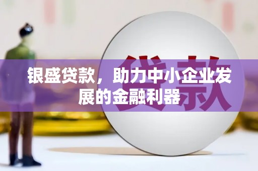 隆尧银盛贷款，助力中小企业发展的金融利器
