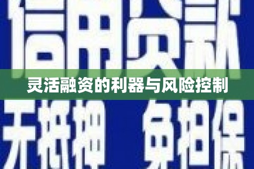 隆尧灵活融资的利器与风险控制