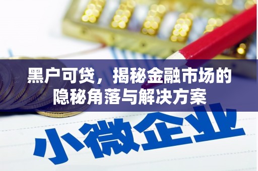 隆尧黑户可贷，揭秘金融市场的隐秘角落与解决方案