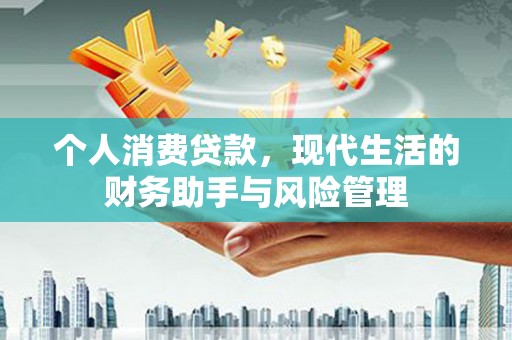 隆尧个人消费贷款，现代生活的财务助手与风险管理