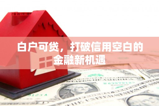 隆尧白户可贷，打破信用空白的金融新机遇