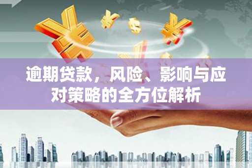 隆尧逾期贷款，风险、影响与应对策略的全方位解析