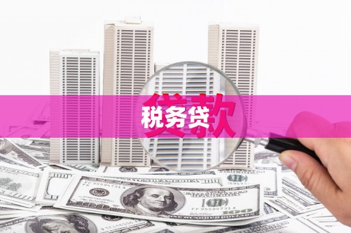 隆尧税务贷