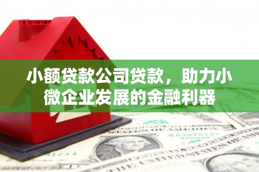 隆尧小额贷款公司贷款，助力小微企业发展的金融利器