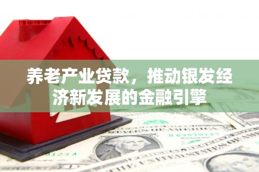 隆尧养老产业贷款，推动银发经济新发展的金融引擎
