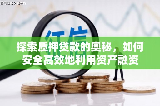 隆尧探索质押贷款的奥秘，如何安全高效地利用资产融资
