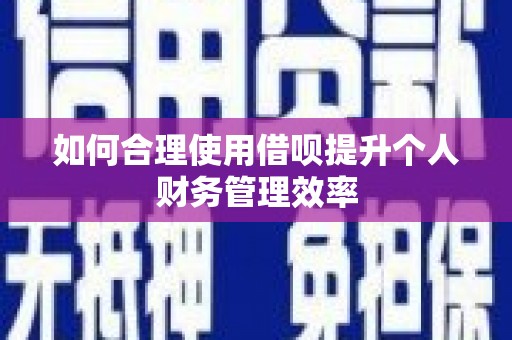 隆尧如何合理使用借呗提升个人财务管理效率