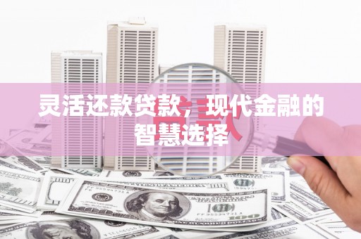 隆尧灵活还款贷款，现代金融的智慧选择