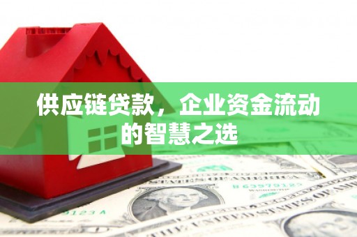 隆尧供应链贷款，企业资金流动的智慧之选