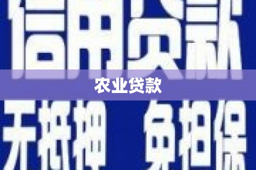 隆尧农业贷款