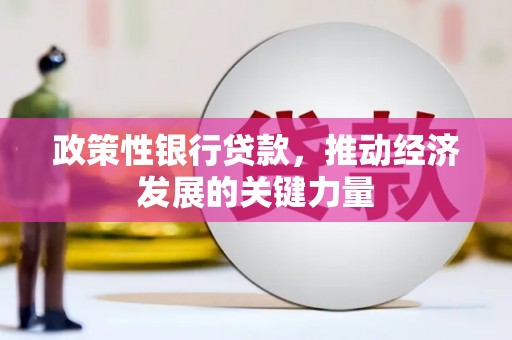 隆尧政策性银行贷款，推动经济发展的关键力量