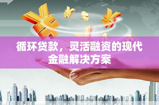隆尧循环贷款，灵活融资的现代金融解决方案