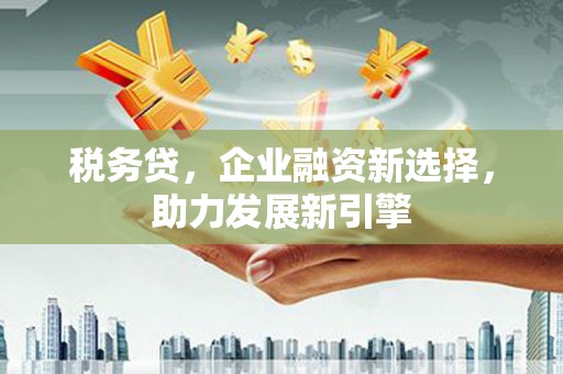 隆尧税务贷，企业融资新选择，助力发展新引擎