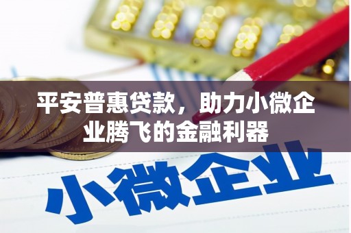 隆尧平安普惠贷款，助力小微企业腾飞的金融利器