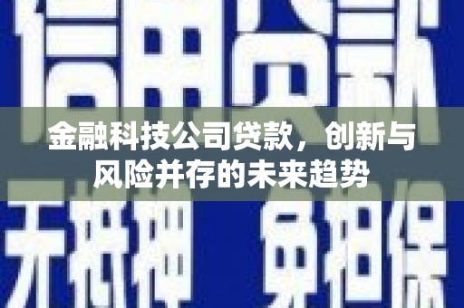 隆尧金融科技公司贷款，创新与风险并存的未来趋势