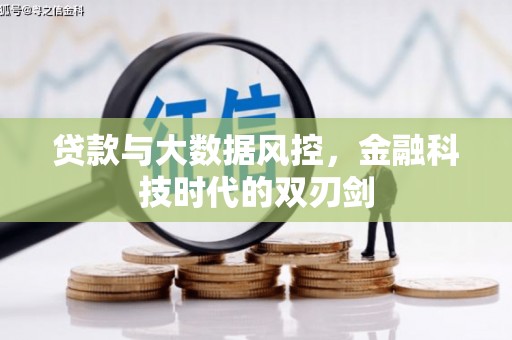 隆尧贷款与大数据风控，金融科技时代的双刃剑