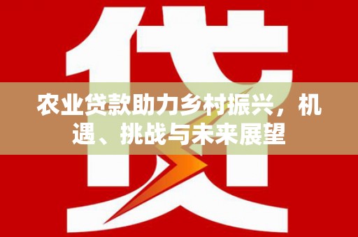 隆尧农业贷款助力乡村振兴，机遇、挑战与未来展望