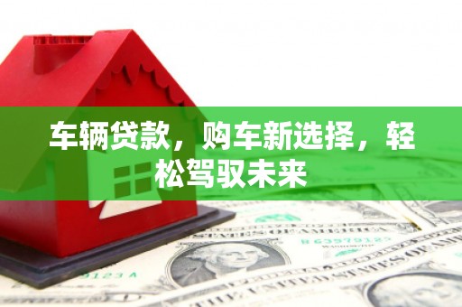 隆尧车辆贷款，购车新选择，轻松驾驭未来