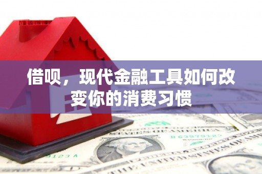 隆尧借呗，现代金融工具如何改变你的消费习惯