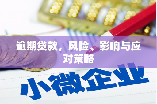 隆尧逾期贷款，风险、影响与应对策略