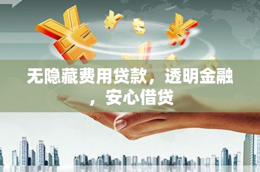 隆尧无隐藏费用贷款，透明金融，安心借贷
