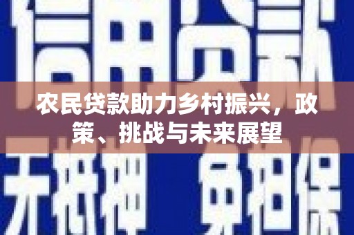 隆尧农民贷款助力乡村振兴，政策、挑战与未来展望