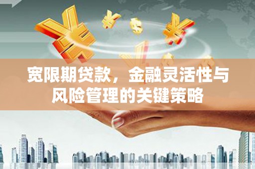 隆尧宽限期贷款，金融灵活性与风险管理的关键策略
