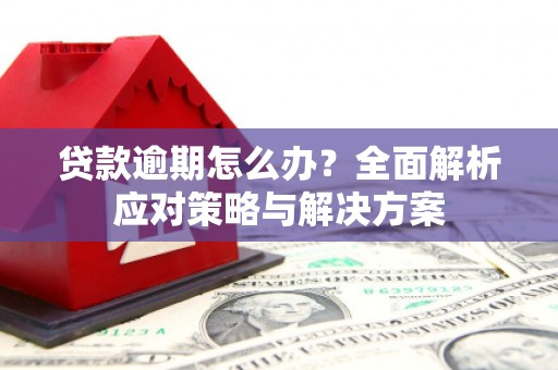 隆尧贷款逾期怎么办？全面解析应对策略与解决方案