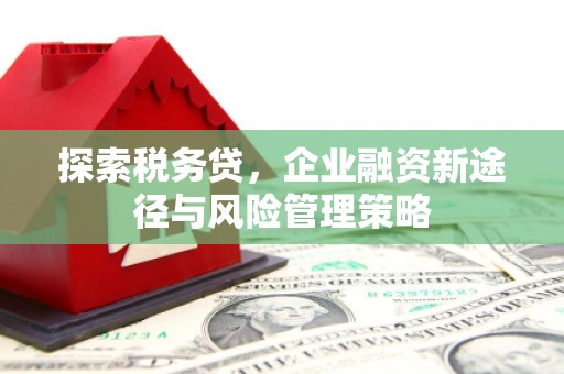 隆尧探索税务贷，企业融资新途径与风险管理策略