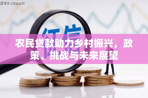 隆尧农民贷款助力乡村振兴，政策、挑战与未来展望