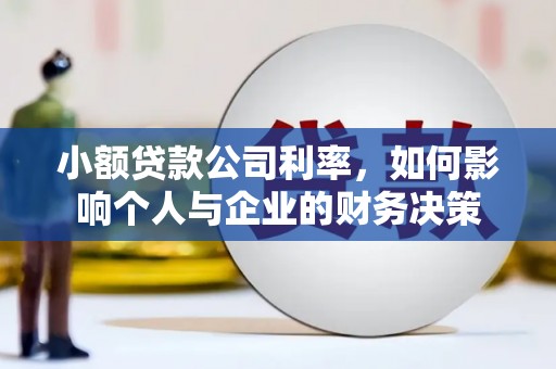 隆尧小额贷款公司利率，如何影响个人与企业的财务决策