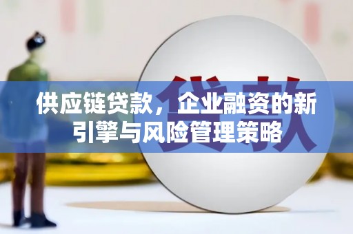隆尧供应链贷款，企业融资的新引擎与风险管理策略